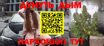 кокс Кингисепп