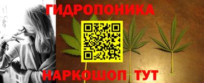 кокс Кингисепп