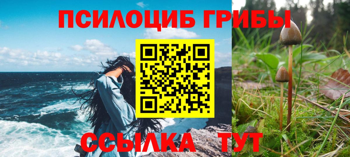 Псилоцибиновые грибы Magic Shrooms  Галлюциногенные грибы Magic Shrooms  купить наркотики сайты  Вход с VPN  Южноуральск 