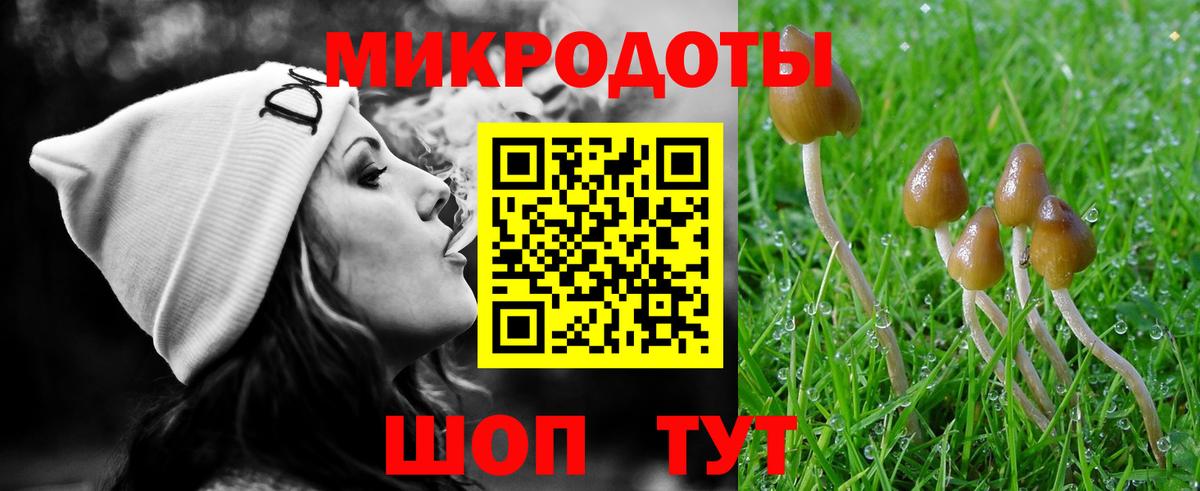 Псилоцибиновые грибы Psilocybe Южноуральск