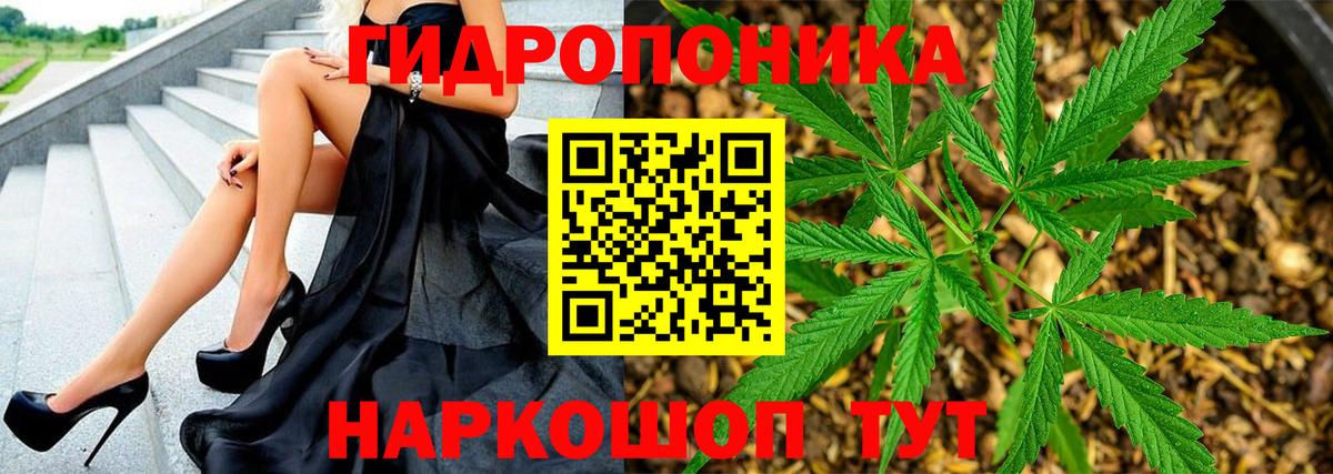 Каннабис план  Вход с VPN  Южноуральск  Конопля THC 21% 